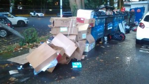 Fly tipping at Kenley Station