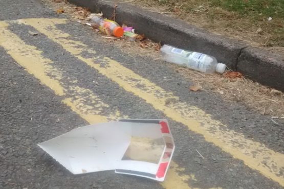 Road Litter